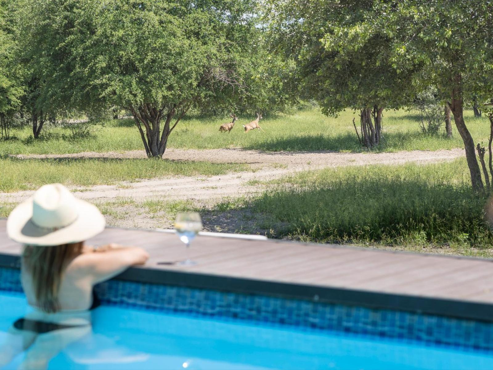 Leopard Plains Villa Motopi Exterior foto