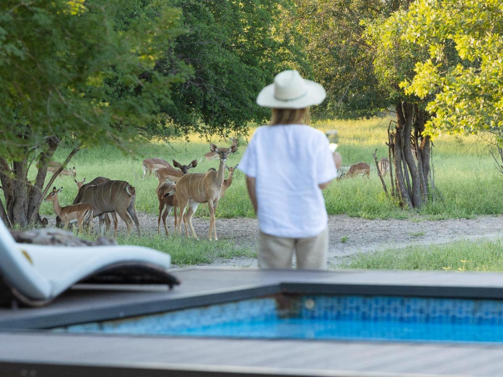 Leopard Plains Villa Motopi Exterior foto